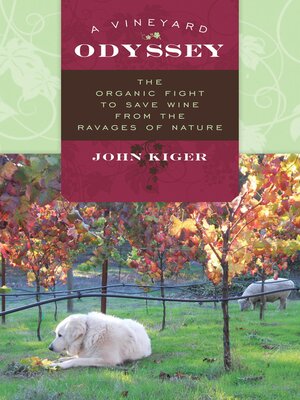 A Vineyard Odyssey - ebook
